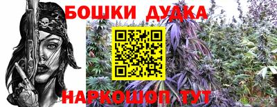 Альфа ПВП Кингисепп