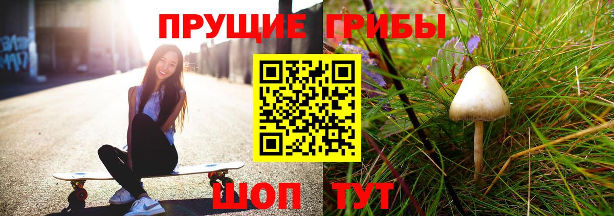 Галлюциногенные грибы ЛСД  Вход с VPN  Галлюциногенные грибы GOLDEN TEACHER  Конаково 